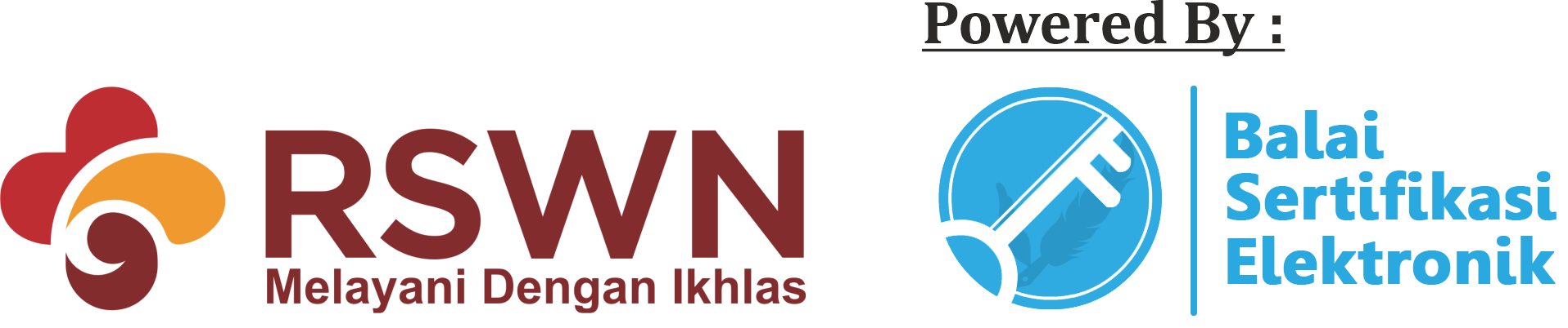 logo image